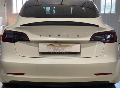 Tesla Performance vinge