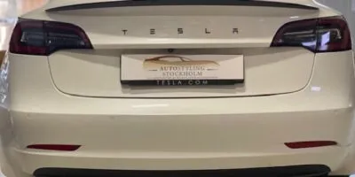 Model 3 Performance Vinge