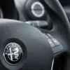 Alfa Romeo ratt emblem