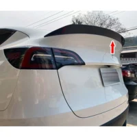Tesla Modell Y Vinge